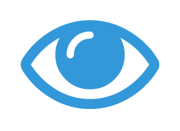 vision
